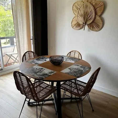 Apartman La Douce Escapade, Superbe T2, 4 Pers - Parking, Balcon *